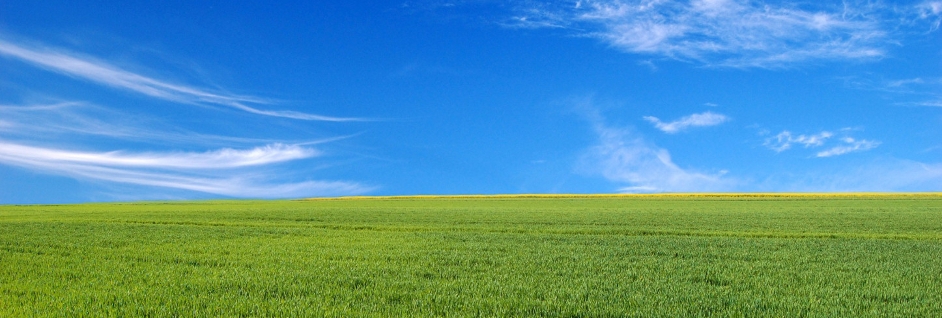 big_image12