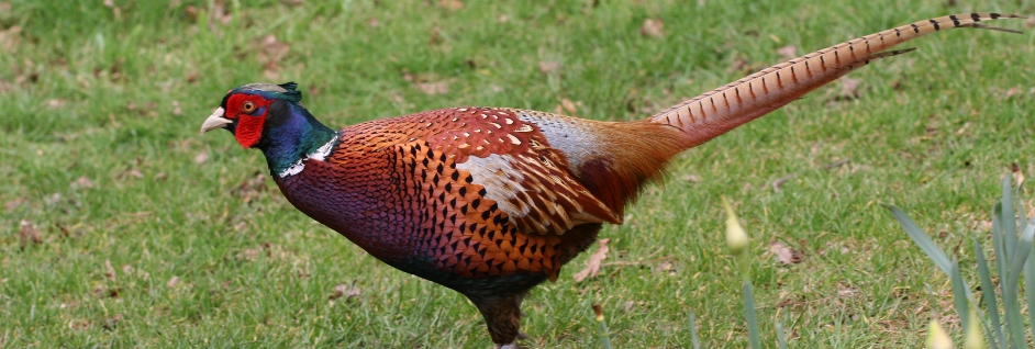 big_image9
